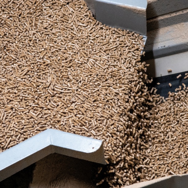 Granulés de bois
